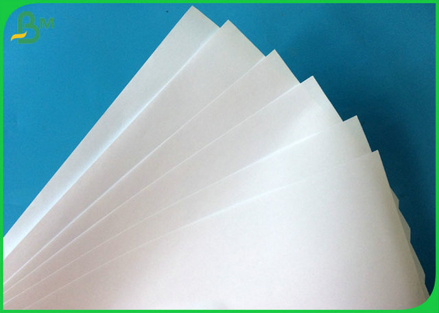 Haut papier non-enduit blanc du témoin 80GSM Woodfree avec l'utilisation multiple
