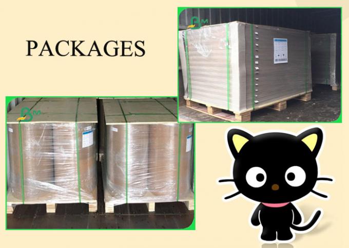 Résistance à la traction de Brown de papier de revêtement d'essai de FSC 200g 300g bonne Brown 60 * 80cm