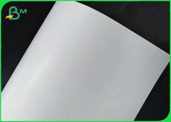 Cupstock entièrement renouvelable Rolls de papier a enduit le polyéthylène 18g + 10gsm