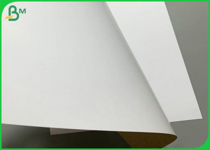 Conseil duplex enduit blanc de Grey Back 300g 350g pour la boîte 700 x 1000mm