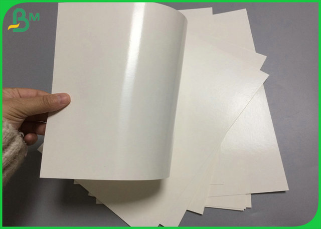 Le matériel 240 de catégorie comestible + 15PE a enduit le carton de Cupstock pour la production de tasse de papier