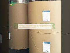 Papier Bible Naturel Blanc Biodégradable et Respectueux de l'Environnement