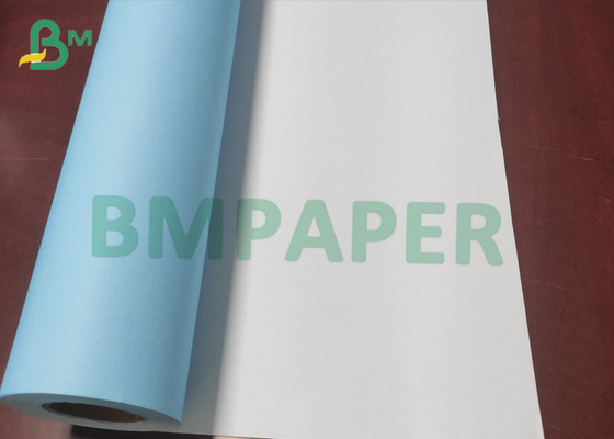 Modèle de papier de petit pain de papier d'ingénierie de petit pain de couleur bleue à simple face
