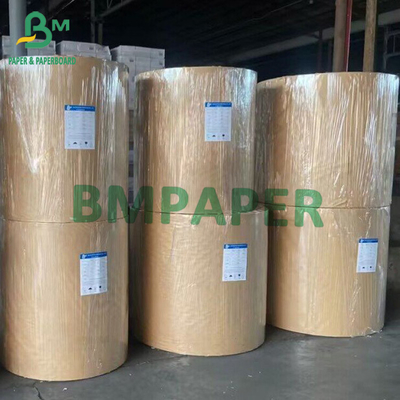 Papier à tasse Kraft biodégradable rouleau papier à tasse brun 210g 230g 250g 280g 300g 350g