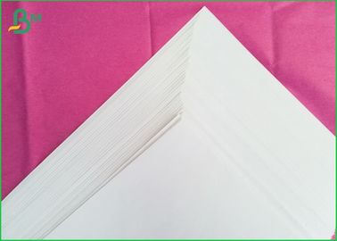 impression offset 80gsm de papier de petit pain enorme de largeur de 889mm pour l'impression d'école