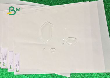Taille synthétique en pierre blanche enduite du papier A4 de Tearproof favorable à l'environnement
