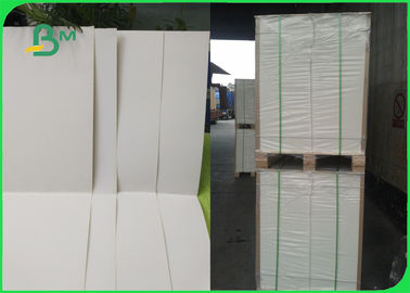 300GSM a blanchi le papier enduit du petit pain de papier de carton/C1S pour l'emballage à extrémité élevé