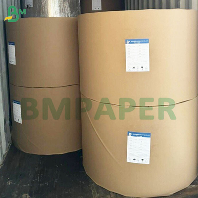 135-350 GSM Papier imperméable revêtu en PE à double taille pour tasses et bols