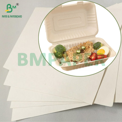 Ruloir de papier à base de pâte de bagasse de canne à sucre naturelle biodégradable de 100 à 400 grammes