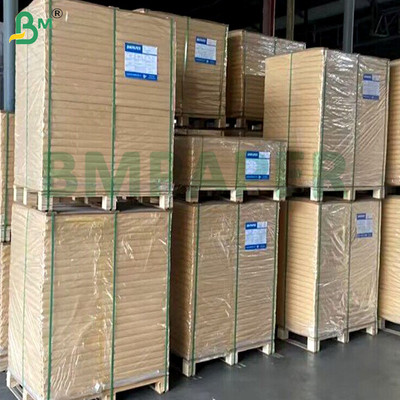 1073B 1059B Papier Dupont blanc thermoscellable à haute barrière bactérienne pour emballage blister de dispositifs médicaux