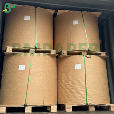 300 gm 330 gm 350 gm Greaseproof Food Grade High Stiffness Foodpack Greaseproof Carton Boîte à emballage de nourriture frite