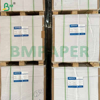 195 gm+15 gm PE enduit de feuilles de papier de cuvette pour conteneurs alimentaires