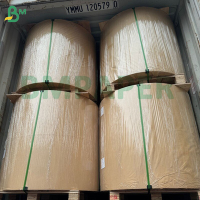 40g 50g de papier d'emballage végétal écologique