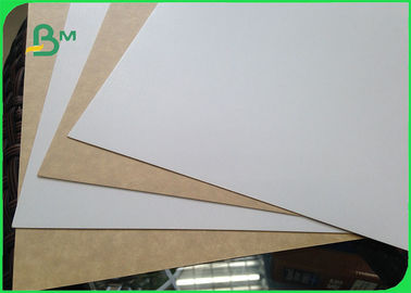 450gsm FSC a certifié le petit pain de papier enduit par argile de catégorie comestible de dos de Papier d'emballage/papier blanc de revêtement pour l'emballage