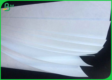 Papier d'imprimante en fibre écologique et visible résistant à l'humidité