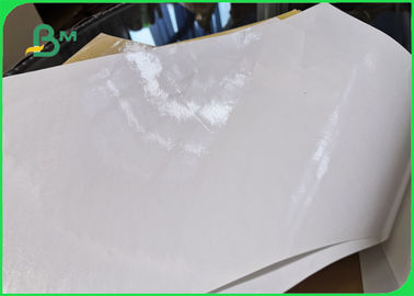 Écologique petit pain de papier enduit par PE de la catégorie 40gsm + 10g comestible pour le paquet de poivre