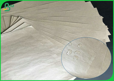 Catégorie comestible sulfurisée Paper610mm 860mm 200gsm - petit pain de papier enduit du PE 350gsm + 10g