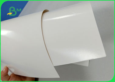 Largeur 708mm papier enduit CIS de panneau en ivoire du PE 300gsm + 15g poly pour la gamelle