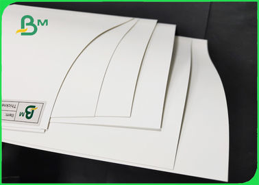 La surface douce de papier blanc de polypropylène et imperméabilisent 450 x 320mm