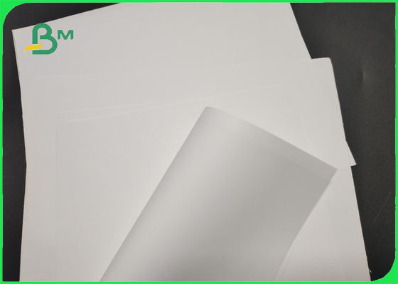 Petit pain de papier mat blanc de 787mm 889mm C2S pour la bonne impression d&amp;#39;illustration