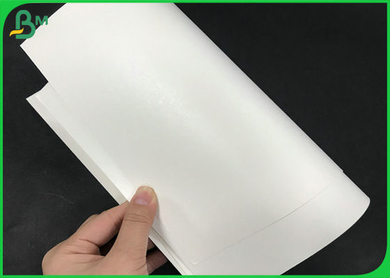 245gsm imperméable fort papier enduit blanc de film de papier d'emballage + de PE 15g pour la tasse de papier de café