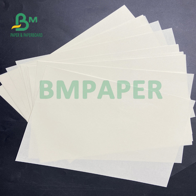 70gm Bon lissé Papier sans bois sans revêtement beige pour feuille de papier de musique