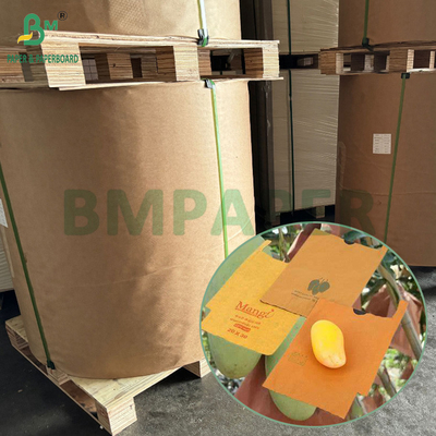 54g 56g papier à couche simple ou double pour la protection de la culture des mangues