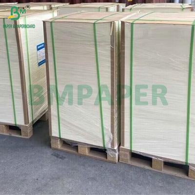 Carton absorbant l'eau à haute pulpe 1 mm 1,4 mm Tissu de bière blanc