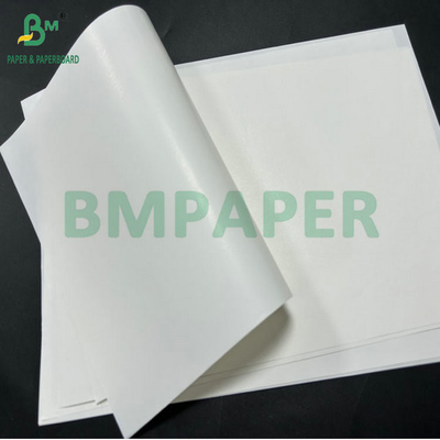 65 grammes de papier d'étiquette pour bouteille de bière à face unique pour l'impression 61cm 86cm grand rouleau