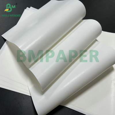 65 grammes de papier d'étiquette pour bouteille de bière à face unique pour l'impression 61cm 86cm grand rouleau
