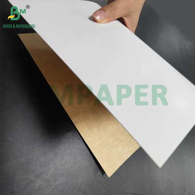 350 grammes CKB Surface blanche Brown Kraft Back Paper Pour les boîtes de salade 25' x 38'