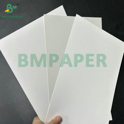 Blancheur élevée 98% 325 gr 360 gr Papier Fbb de qualité alimentaire pour gâteau Boîte d'emballage 70 x 100 cm