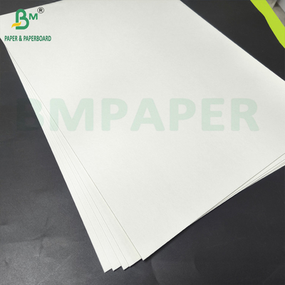 Carte de pâte de bois blanchie à deux côtés à haute absorption