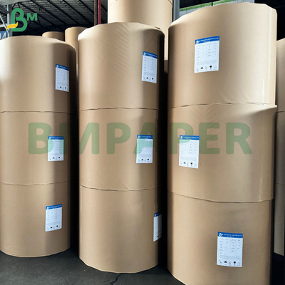 Ruloir de papier de caisse et de reçu thermique 48 grammes 570 mm 800 mm