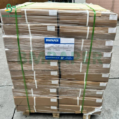 40 grammes de rouleaux de papier enduit de silicone à double face pour la cuisson des aliments