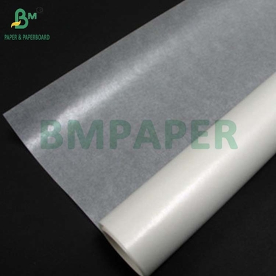 24 grammes de papier vitreux de couleur blanchi de qualité alimentaire pour tasses de cuisson 750 x 1000 mm