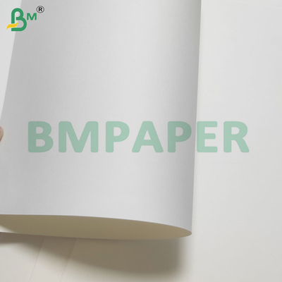 135-350 GSM Papier imperméable revêtu en PE à double taille pour tasses et bols