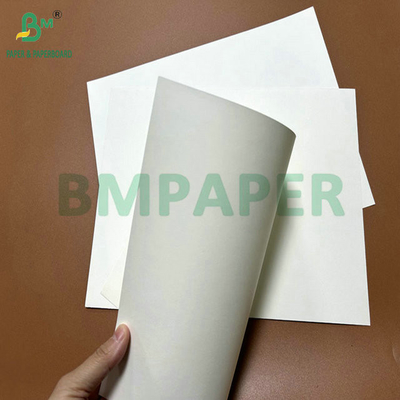 31 pouces, 35 pouces, 230 grammes, 260 grammes de papier en PE pour tasses de café.