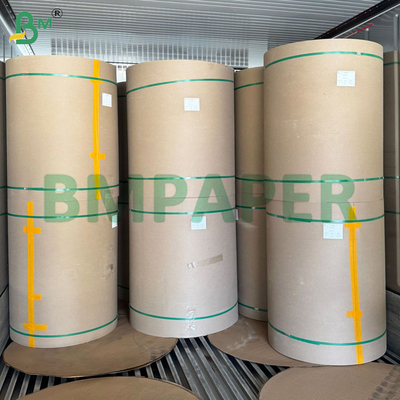 Carton à dos kraft brun 270 gm 350 gm haut enduit de blanc