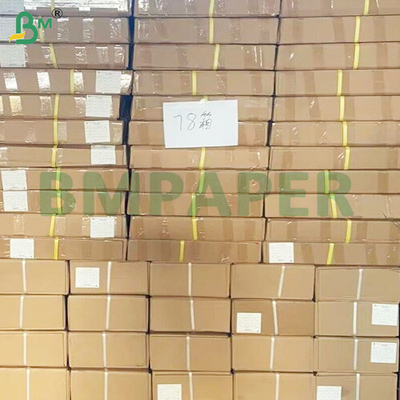 Surface lisse 80gm rouleaux de papier de liaison CAO pour une impression précise