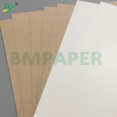 Feuille de papier en PE revêtu de base de tasse résistant à la chaleur et au froid