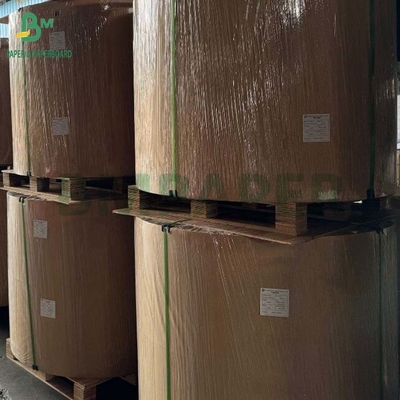 Ruloir de papier à base de pâte de bagasse de canne à sucre naturelle biodégradable de 100 à 400 grammes