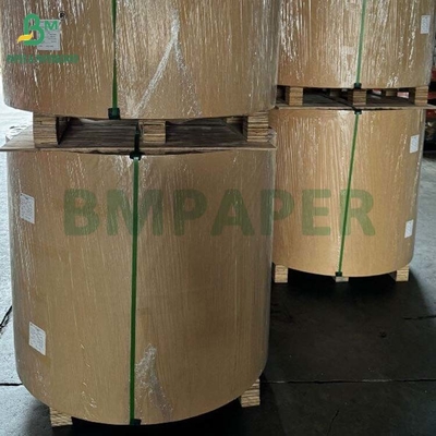 Ruloir de papier à base de pâte de bagasse de canne à sucre naturelle biodégradable de 100 à 400 grammes