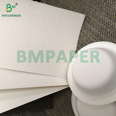 Ruloir de papier à base de pâte de bagasse de canne à sucre naturelle biodégradable de 100 à 400 grammes