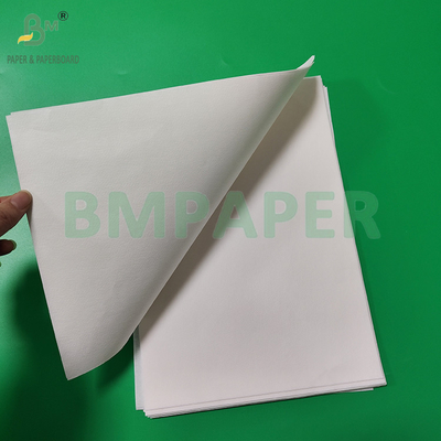 50 grammes 328 mm 500 mm Filtre à café blanc et brun en rouleau de papier