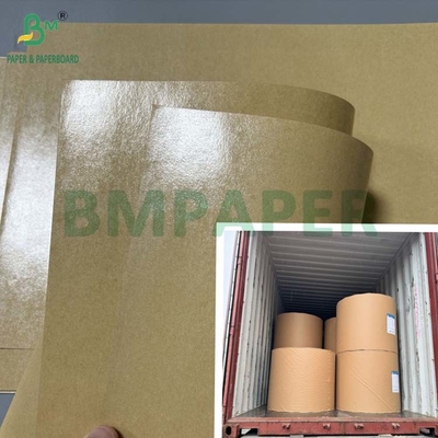 300 grammes de carton revêtu en PE à l'épreuve de la graisse pour une boîte à lunch de 70 x 100 cm