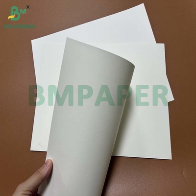 Papier de pierre résistant à l'eau de 200 mm à 240 mm pour l'emballage de viande 787 x 520 mm