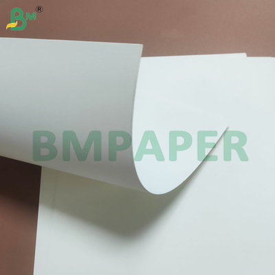 Rôles de papier de tasse jetables revêtus de PE pour une protection contre l'humidité