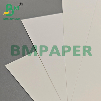 Papier à pellicules en PET 200um polyvalent pour l'emballage à l'exportation et les étiquettes industrielles