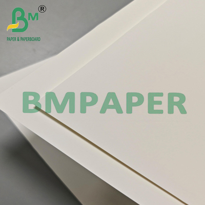 Papier à pellicules en PET 200um polyvalent pour l'emballage à l'exportation et les étiquettes industrielles